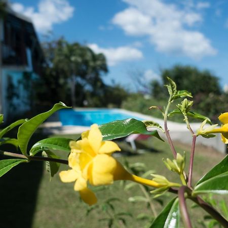Bed and Breakfast La Muscade Ferry Экстерьер фото